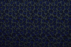 Lycra print 35
