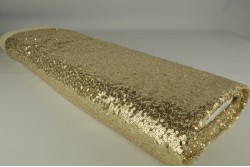 Sequins 22 champagne