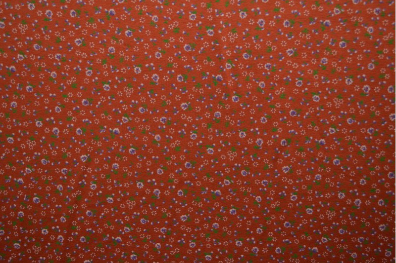 Cotton jersey print - wow 11-42 copper