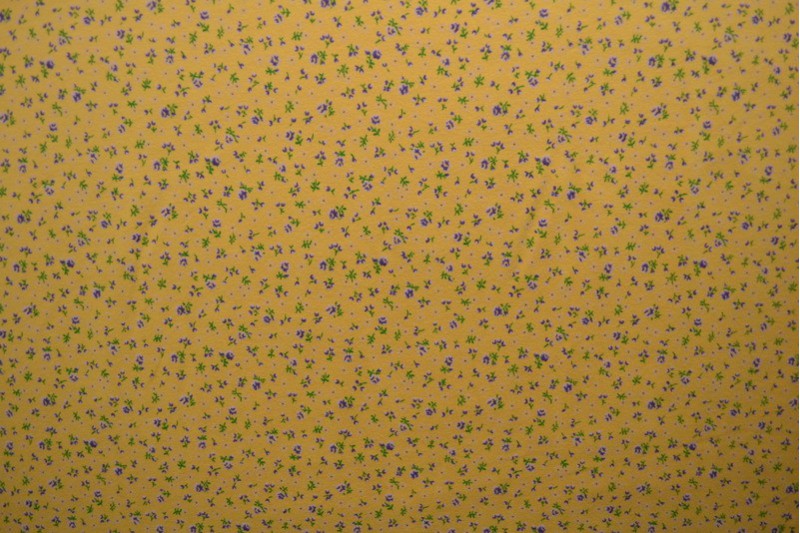 Cotton jersey print - wow 11-47 ochre yellow