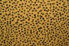 Cotton jersey print - wow 13-47 ochre yellow