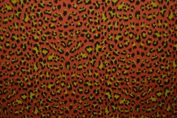 Cotton jersey print - wow 14-42 copper