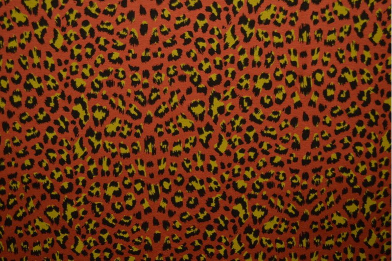 Cotton jersey print - wow 14-42 copper