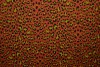 Cotton jersey print - wow 14-42 copper
