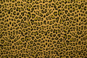 Cotton jersey print - wow 14-47 ochre yellow