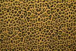 Cotton jersey print - wow 14-47 ochre yellow