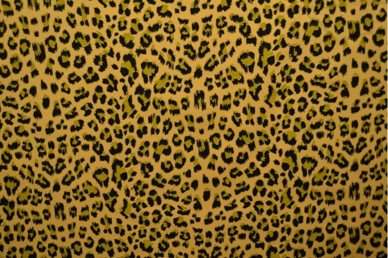 Cotton jersey print - wow 14-47 ochre yellow