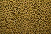 Cotton jersey print - wow 14-47 ochre yellow