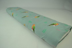 Cotton jersey print - wow 04-34 old green