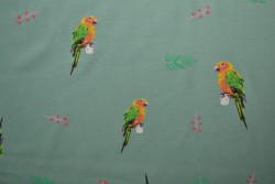 Cotton jersey print - wow 04-34 old green