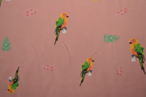 Cotton jersey print - wow 04-37 old pink