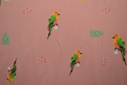 Cotton jersey print - wow 04-37 old pink