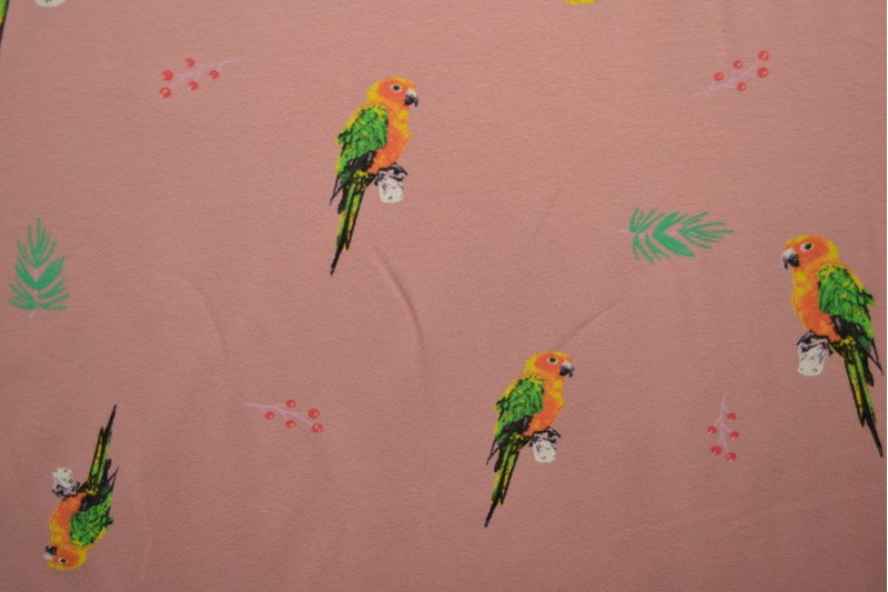 Cotton jersey print - wow 04-37 old pink