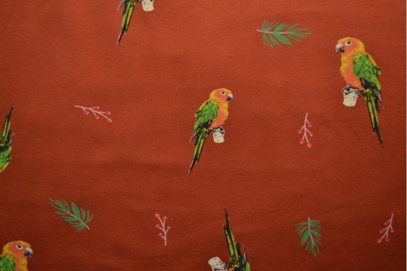 Cotton jersey print - wow 04-42 copper