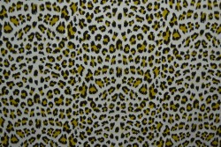 Cotton jersey print - wow 14-25 silver grey