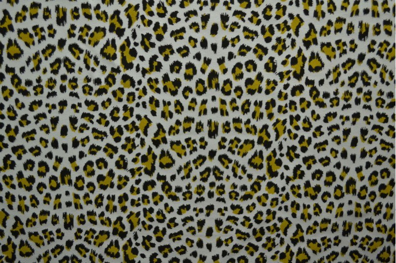 Cotton jersey print - wow 14-25 silver grey