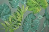 Cotton jersey print - wow 16-34 old green