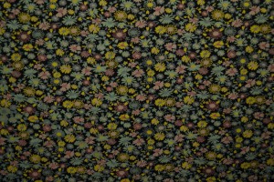Cotton jersey print - wow 10-03 black