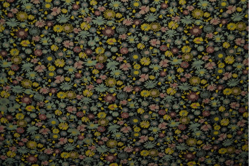 Cotton jersey print - wow 10-03 black