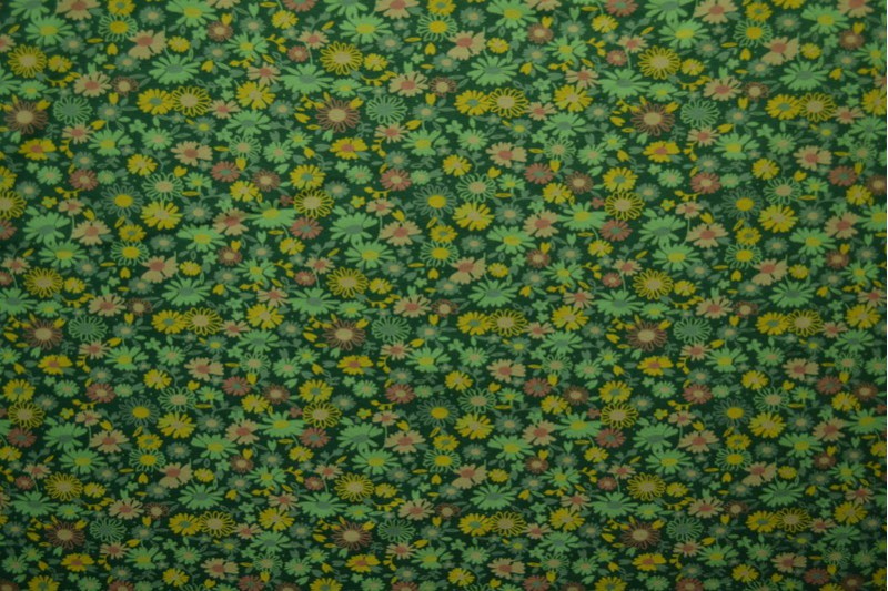 Cotton jersey print - wow 10-32 green