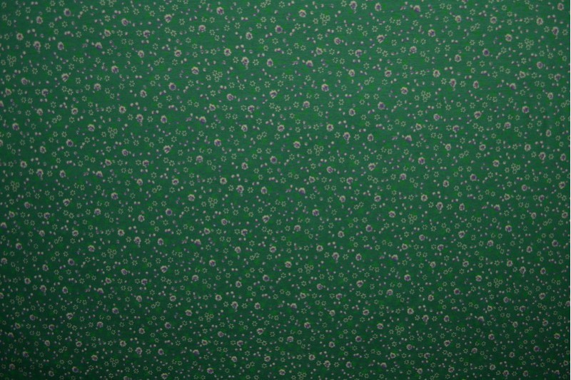 Cotton jersey print - wow 11-32 green