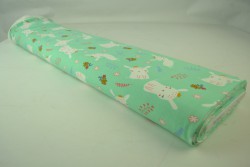 Cotton jersey print - wow 21-01 mint green