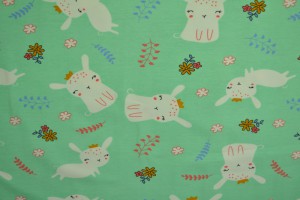 Cotton jersey print - wow 21-01 mint green