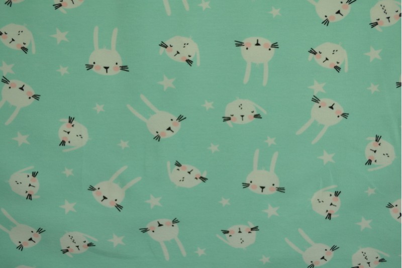 Cotton jersey print - wow 22-01 mint green
