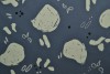 Cotton jersey print - wow 67-17 dark grey