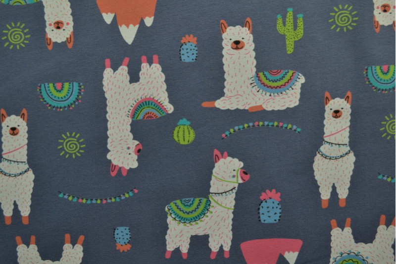 Cotton jersey print - wow 65-17 dark grey