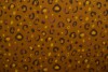Cotton jersey print - wow 63-44 dark ochre yellow