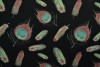 Cotton jersey print - wow 62-03 black