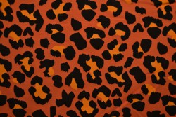 Cotton jersey print - wow 54-42 copper