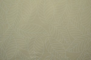 Cotton jersey print - wow 59-22 champagne