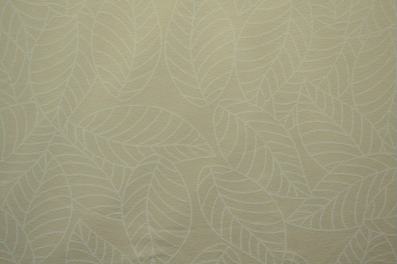 Cotton jersey print - wow 59-22 champagne