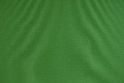 Cotton jersey rib 15 green