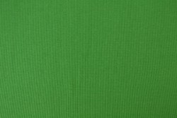 Cotton jersey rib 34 bright green