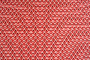 Lycra print 171-01
