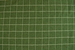 Cotton jersey checks 2cm 01-02 green