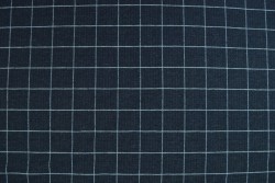 Cotton jersey checks 2cm 01-07 navy