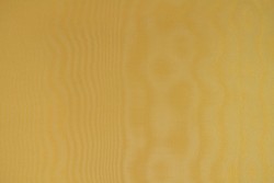 Organza 47 - ochre yellow