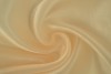 Organza 22 - champagne