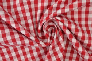 Cotton gingham checks 6.5 mm 160-01 red