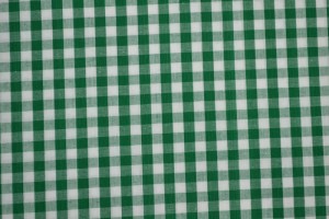 Cotton gingham checks 6.5 mm 160-09 dark green