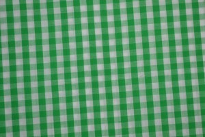 Cotton gingham checks 6.5 mm 160-10 green