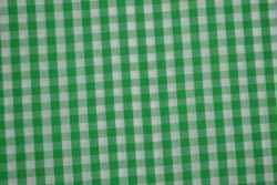Cotton gingham checks 6.5 mm 160-10 green
