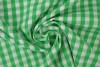 Cotton gingham checks 6.5 mm 160-10 green