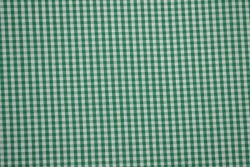 Cotton gingham checks 2.5 mm 162-09 dark green