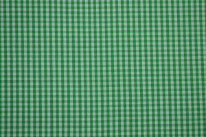 Cotton gingham checks 2.5 mm 162-10 green