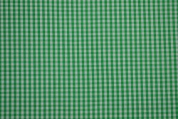 Cotton gingham checks 2.5 mm 162-10 green